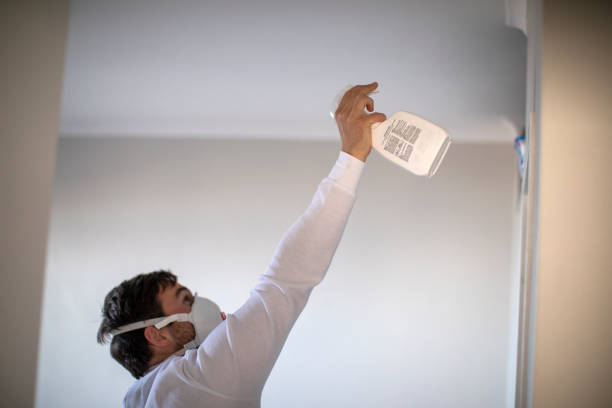 Best Health and Safety Mold Remediation in Smith Valley, NV