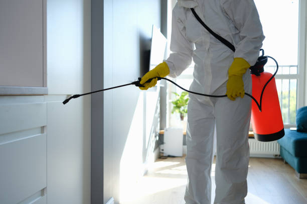 Best Commercial Mold Remediation in Smith Valley, NV