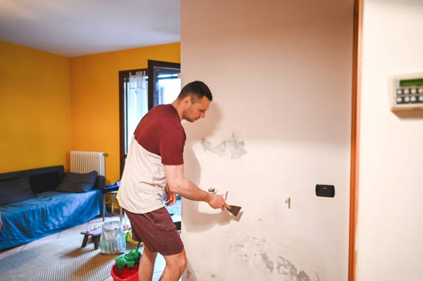 Best Bathroom Mold Remediation in Smith Valley, NV